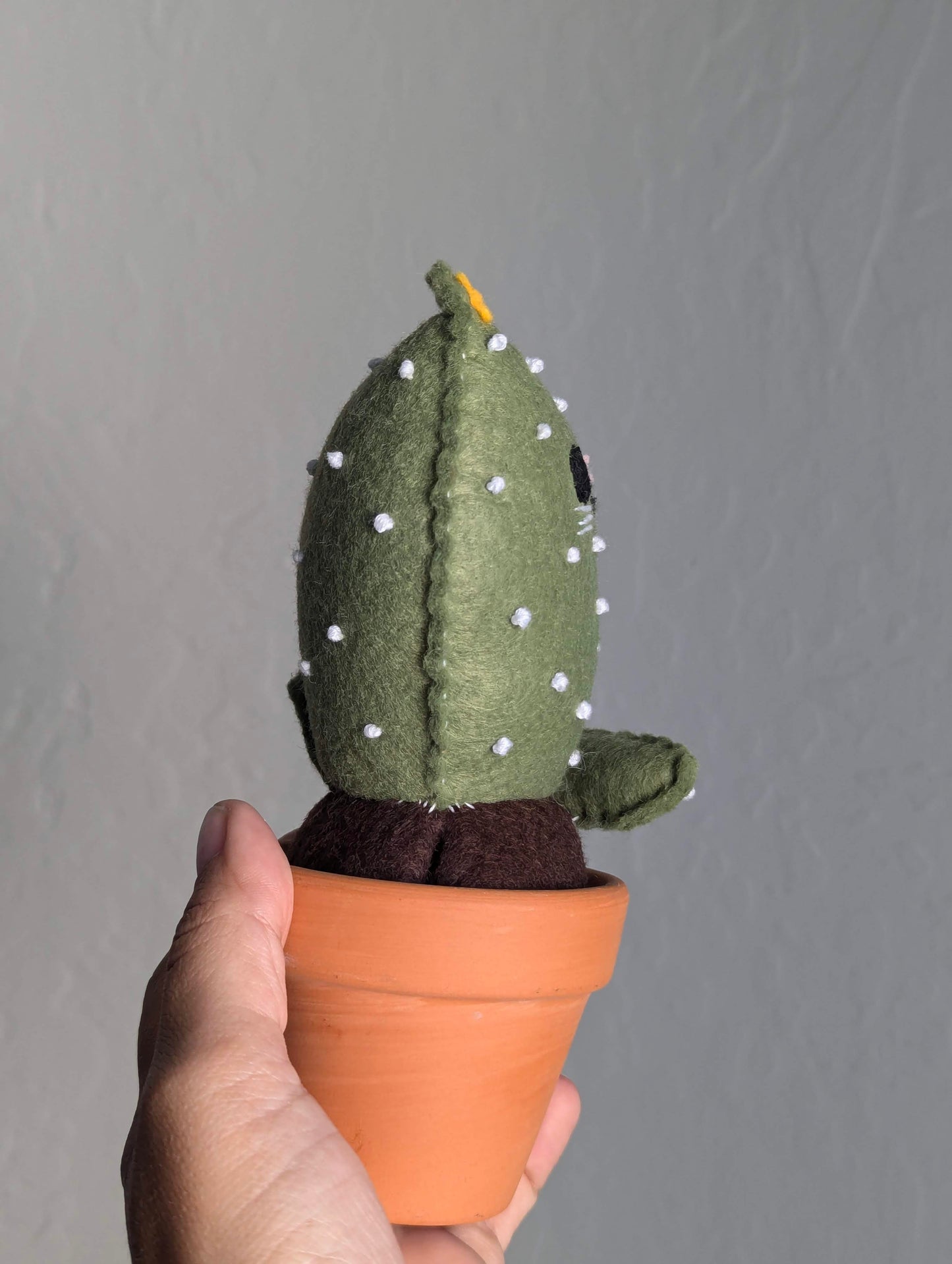 Cat Cactus - Olive