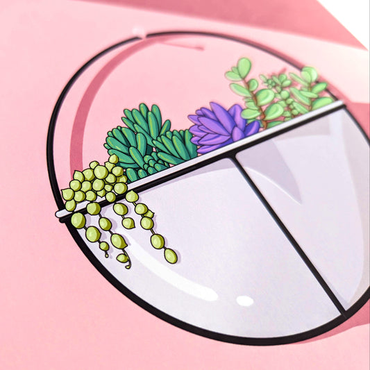 Spring Succelents on the wall | 5x7 or 8x10 Art Print