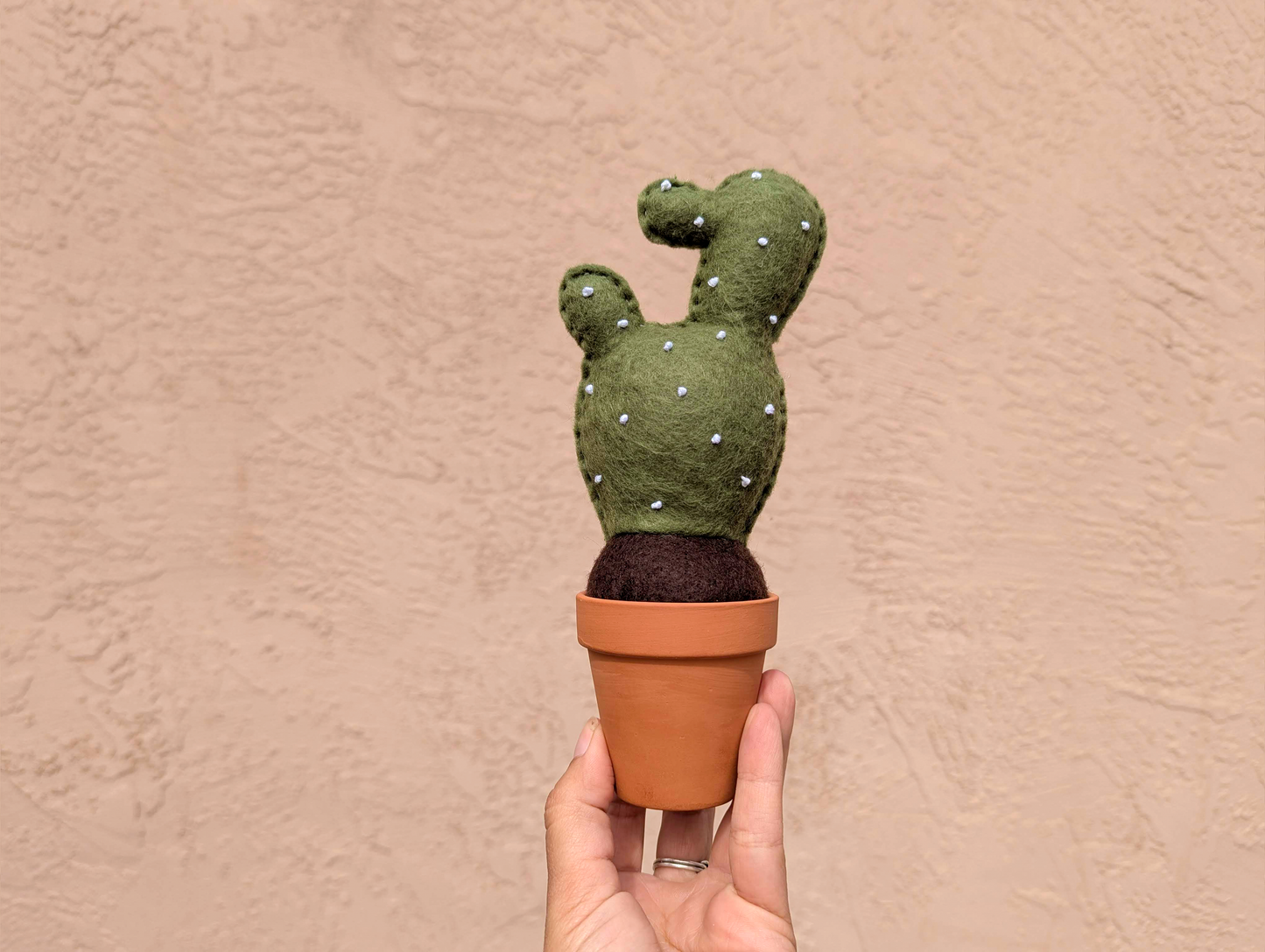 Cheerful Felt Cactus with Cute Face