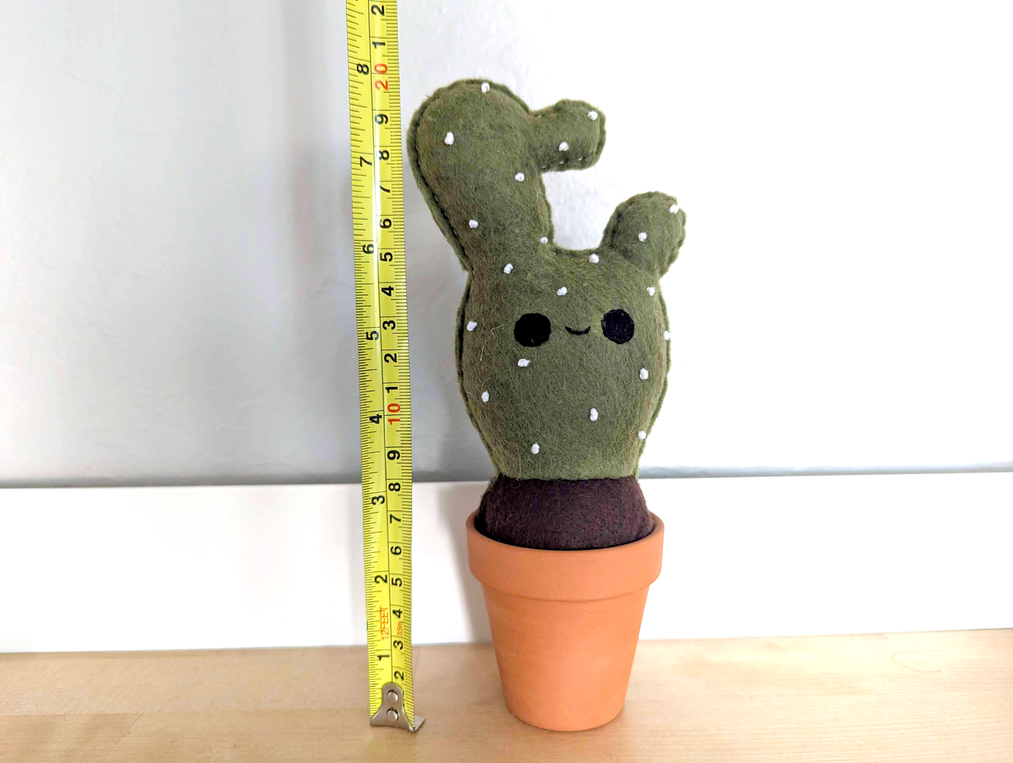 Cheerful Felt Cactus with Cute Face