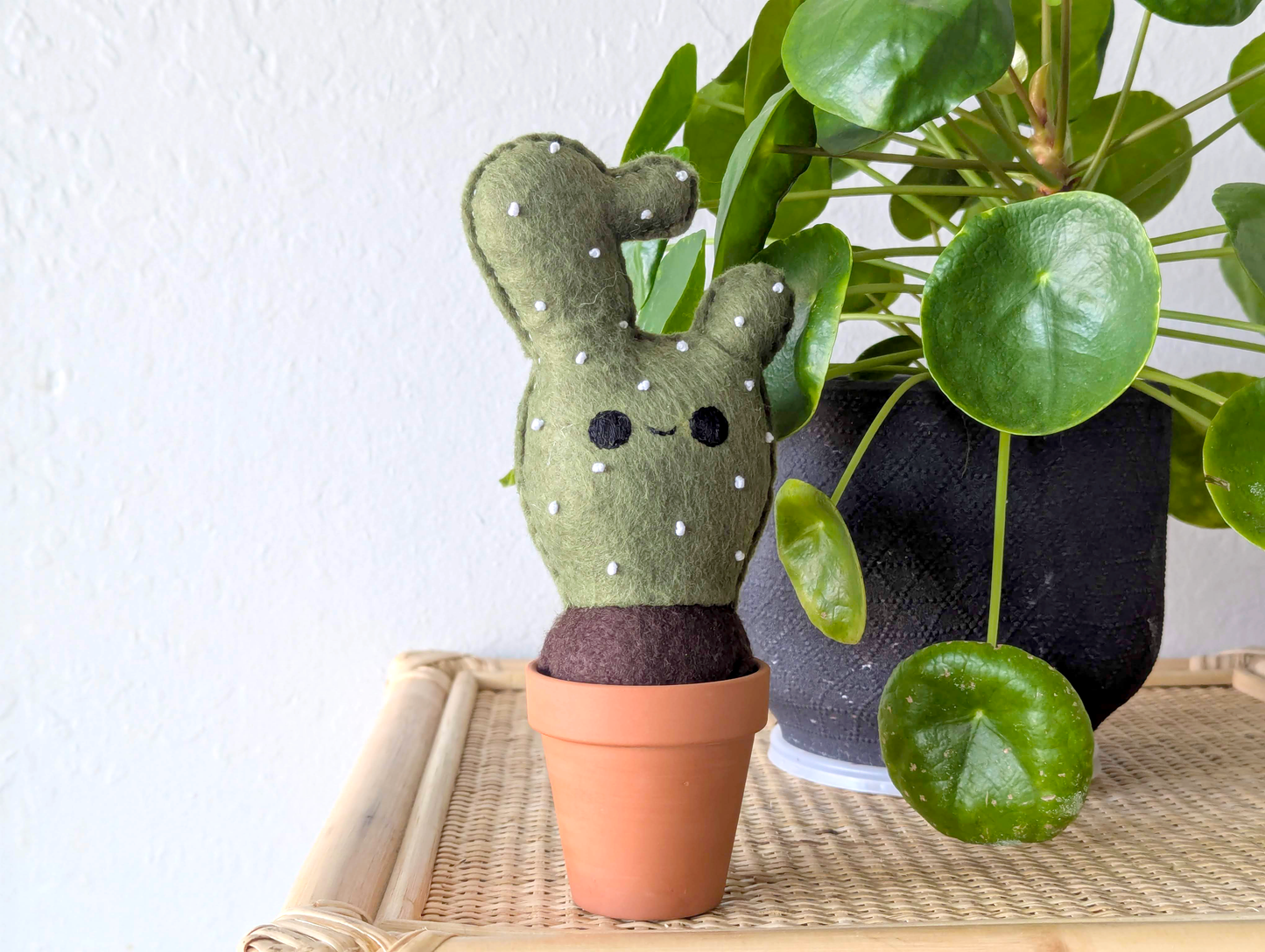 Cheerful Felt Cactus with Cute Face