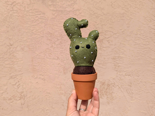 Cheerful Felt Cactus with Cute Face