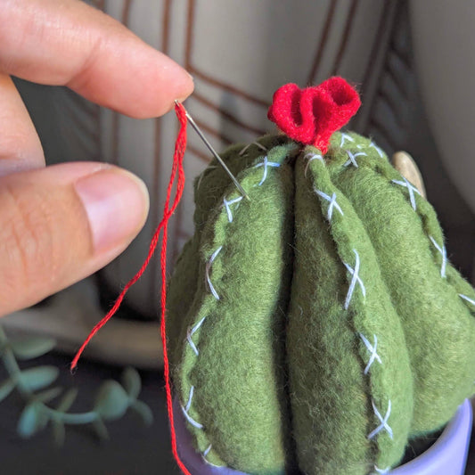 Mushrooms and Felt Cactus