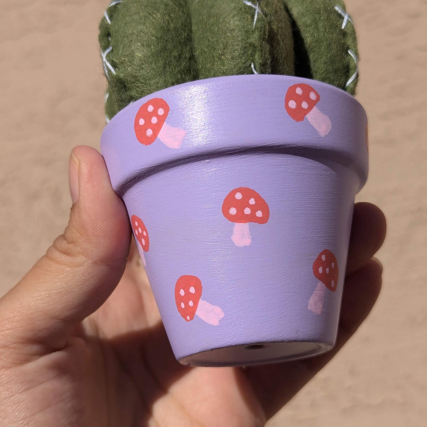 Mushrooms and Felt Cactus