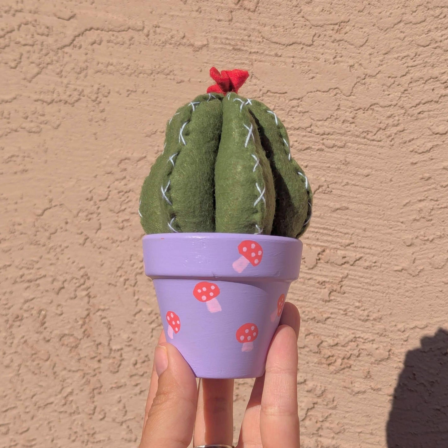 Mushrooms and Felt Cactus