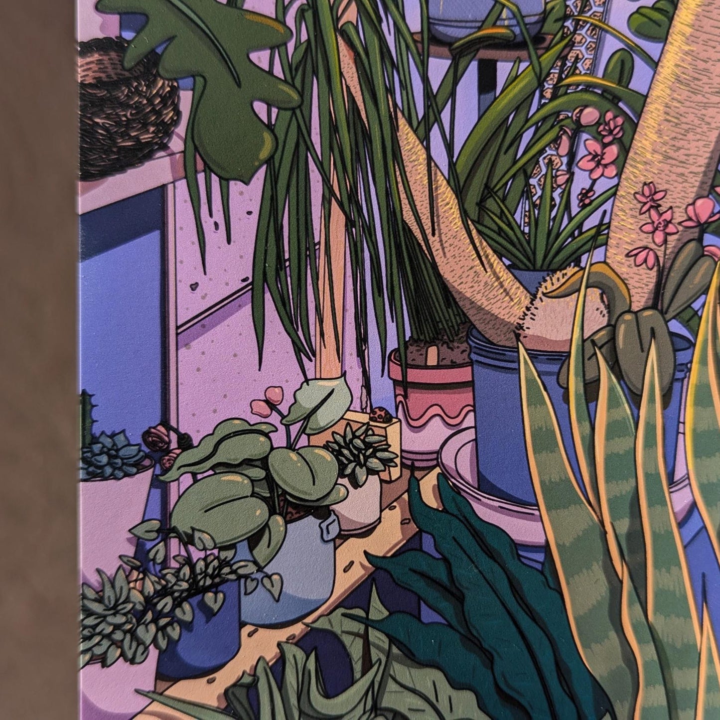 Plant Store At Night