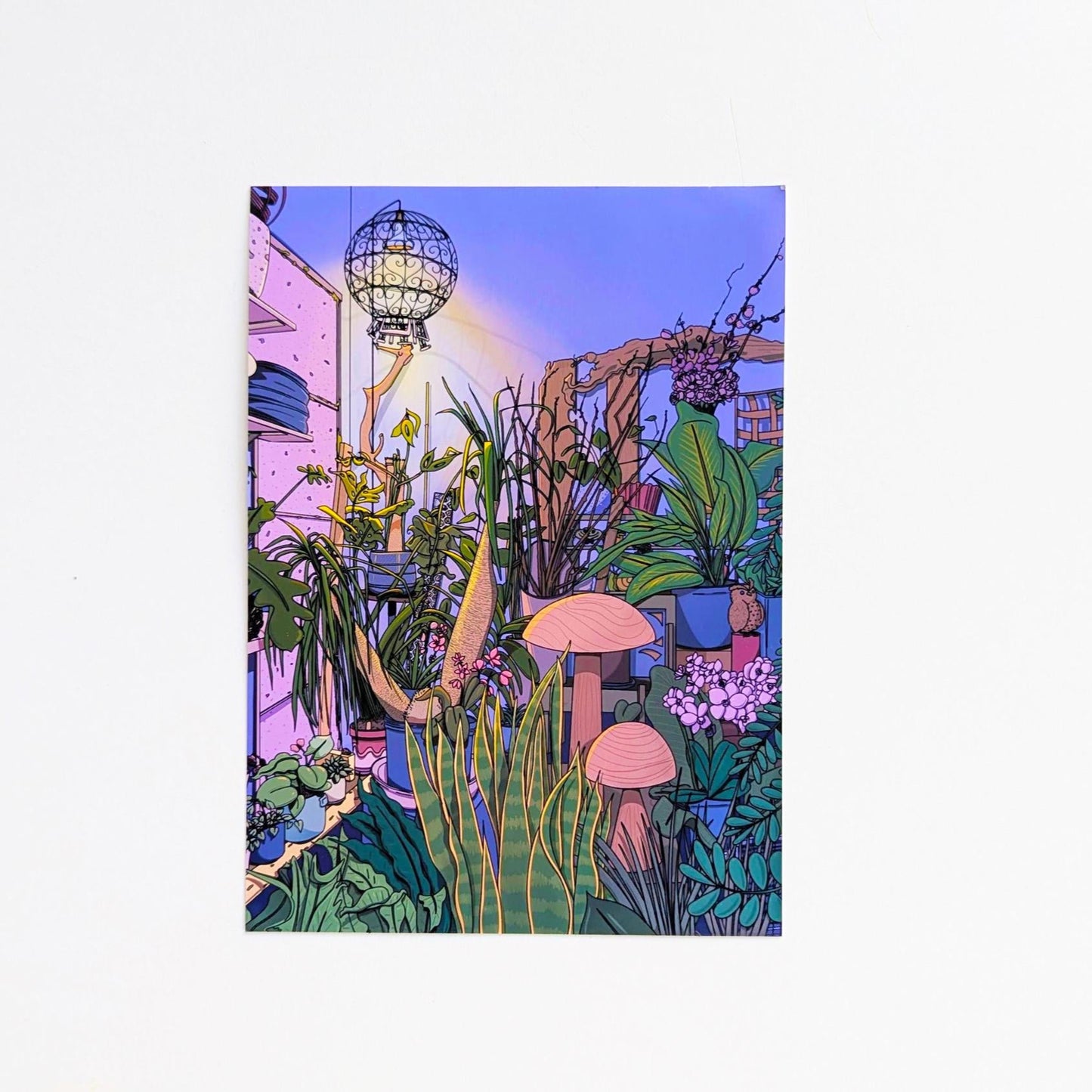 Plant Store At Night