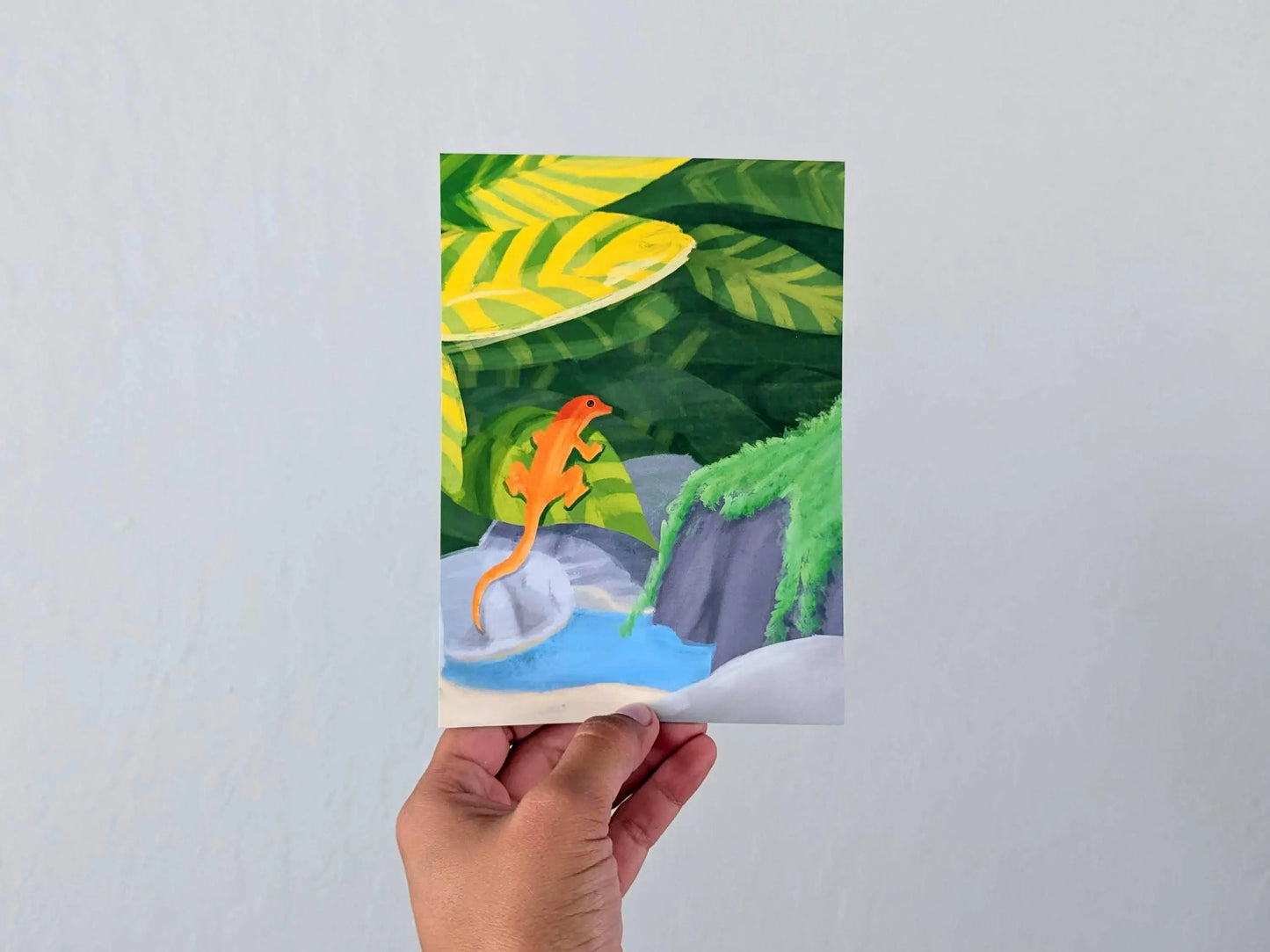 El Salvador Orange Anole Jesus Lizard | 5x7 or 8x10 Art Print