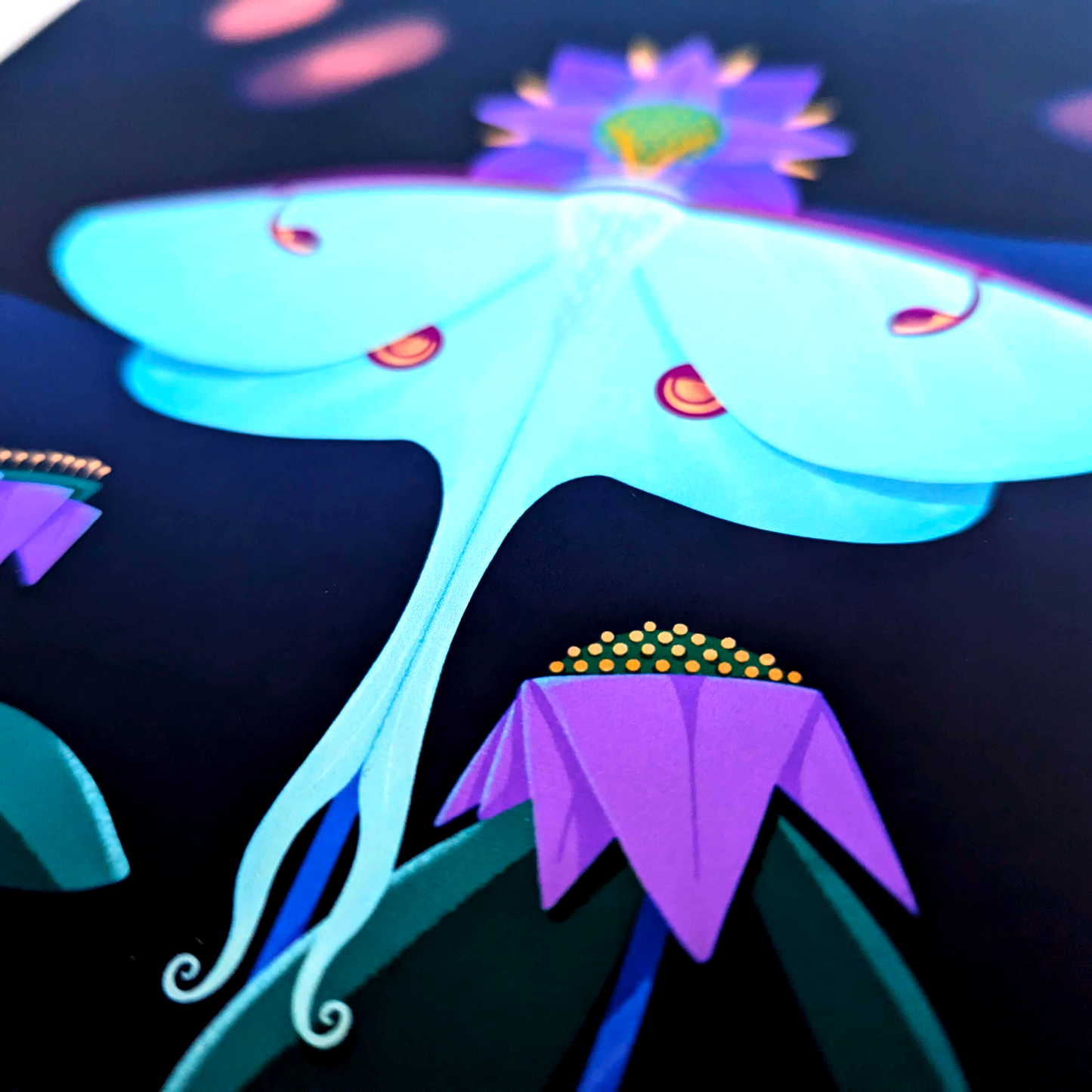 Luna Moth Art Print