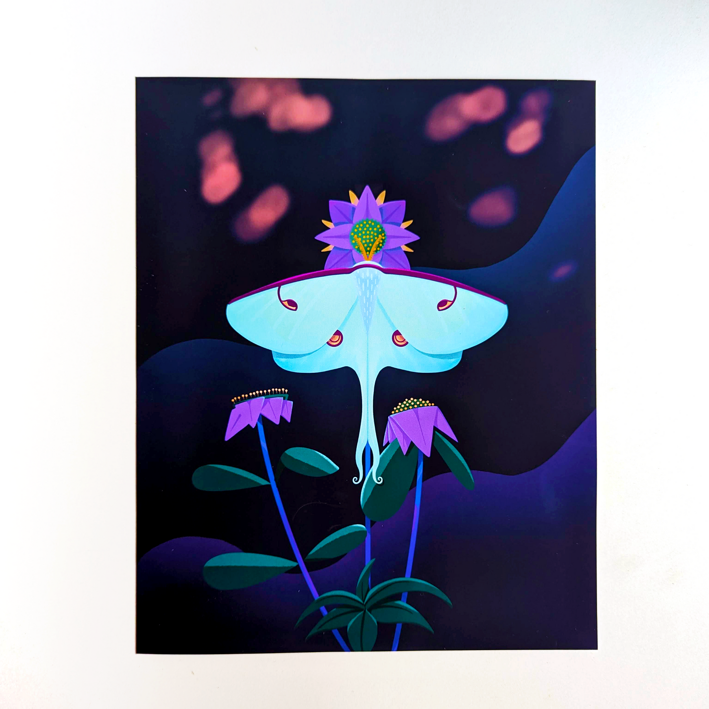 Luna Moth Art Print