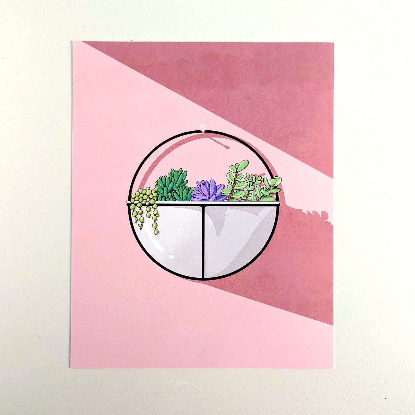 Spring Succelents on the wall | 5x7 or 8x10 Art Print