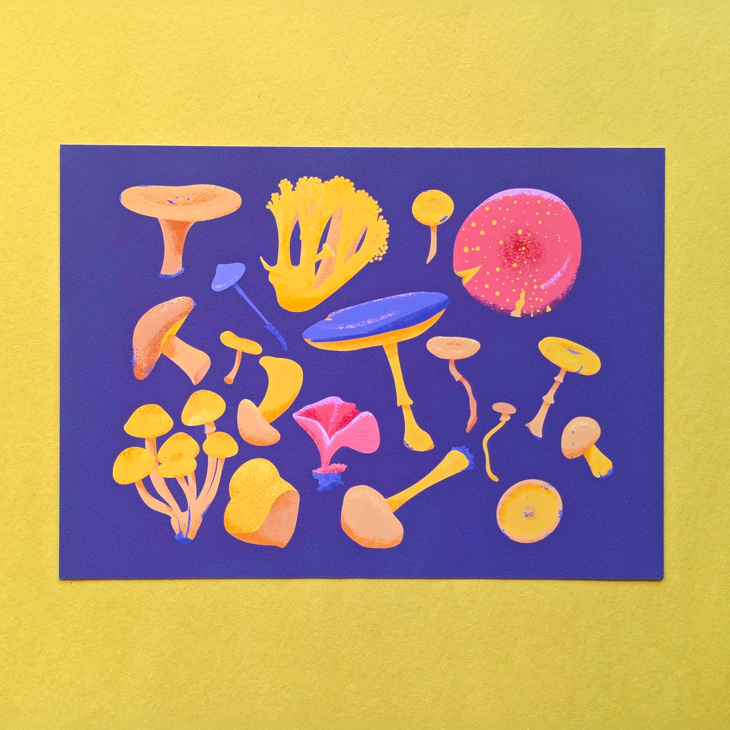 Wild Mushrooms Art Print