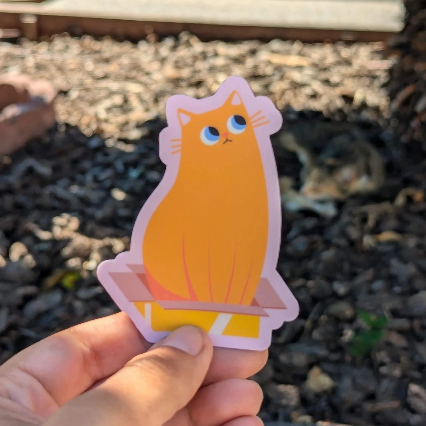 If it fits, it sits - Cat in a box vinyl sticker