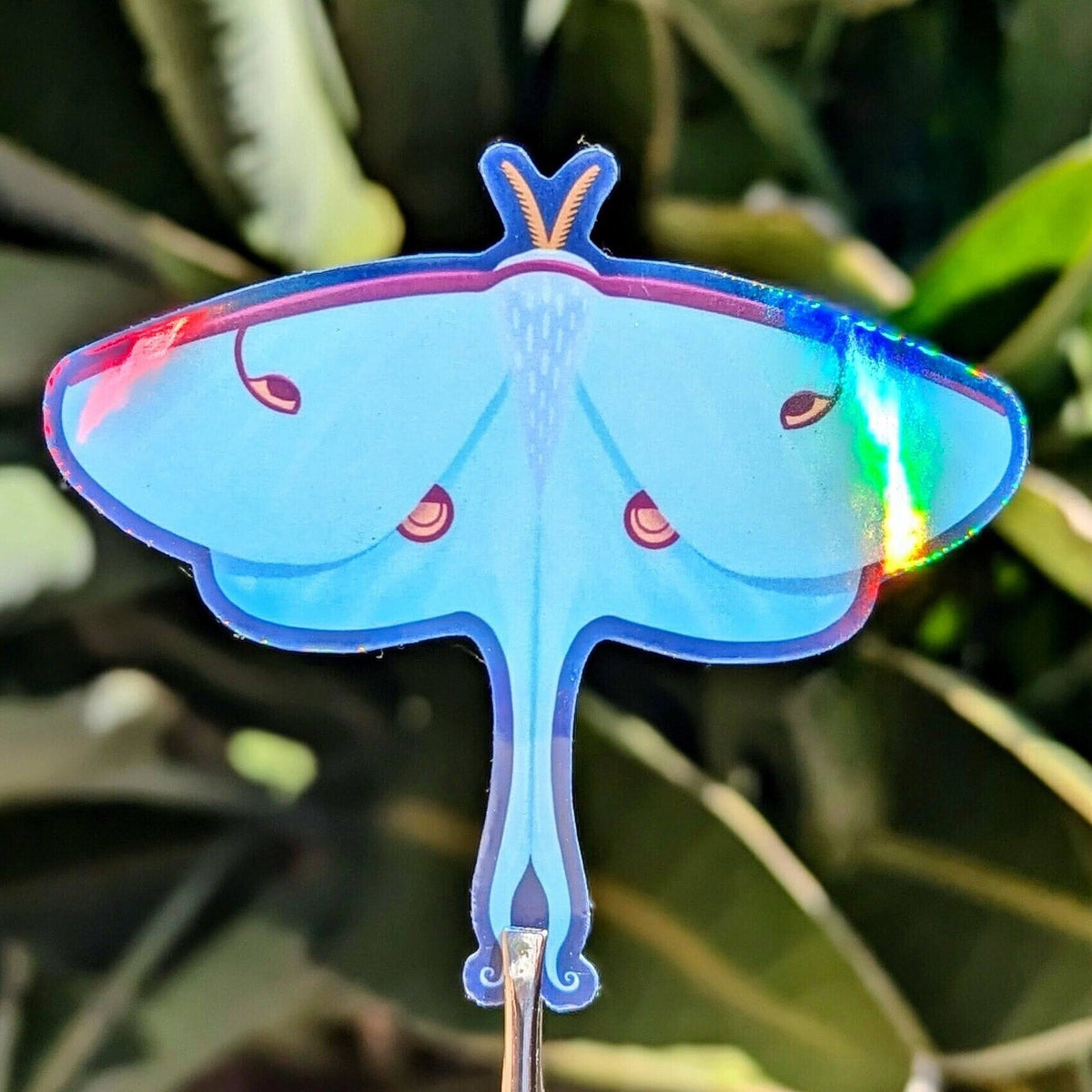Luna Moth Vinyl Sticker