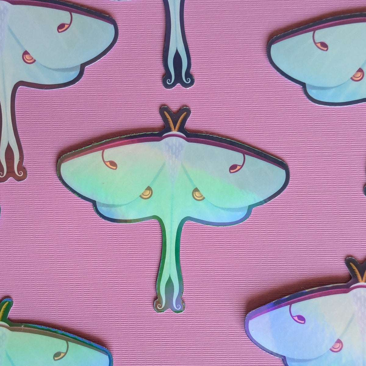 Luna Moth Vinyl Sticker